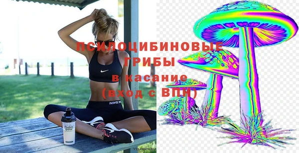 jwh Алзамай