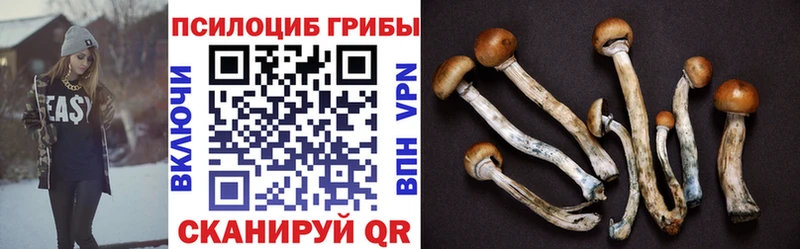 где можно купить наркотик  Ува  Галлюциногенные грибы GOLDEN TEACHER 